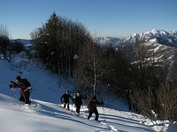 04_Sbucati dal bosco